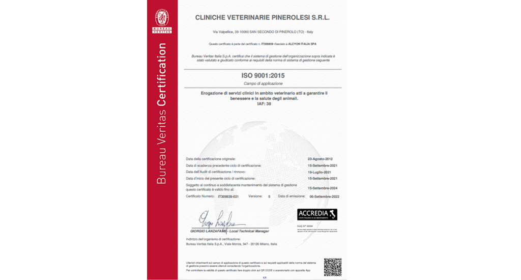 Certificazione ISO9001