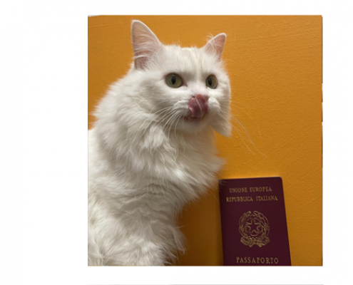 Passaporto per viaggiare con gli animali