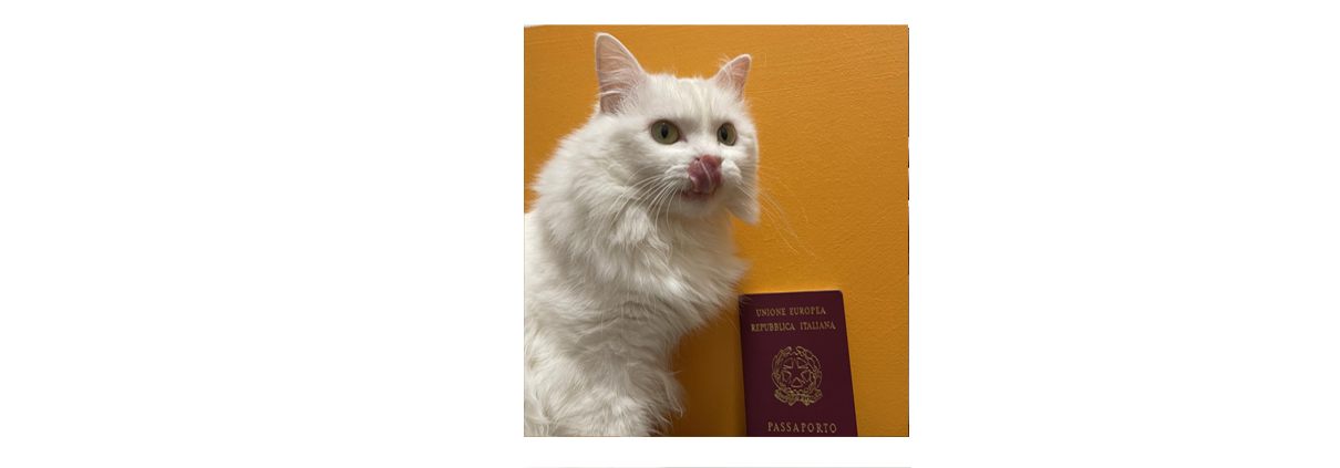 Passaporto per viaggiare con gli animali